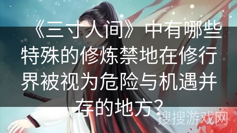 《三寸人间》中有哪些特殊的修炼禁地在修行界被视为危险与机遇并存的地方？