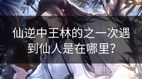 仙逆中王林的之一次遇到仙人是在哪里？