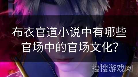 布衣官道小说中有哪些官场中的官场文化？