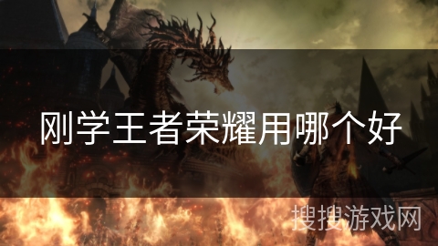 刚学王者荣耀用哪个好