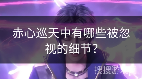 赤心巡天中有哪些被忽视的细节？