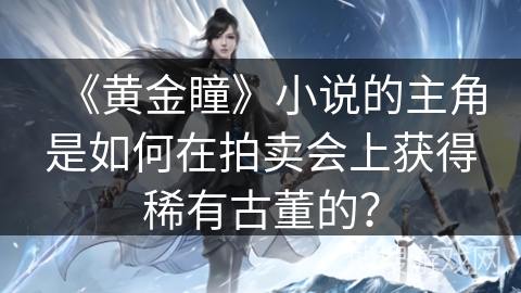 《黄金瞳》小说的主角是如何在拍卖会上获得稀有古董的？