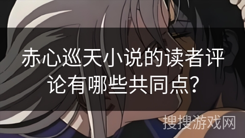 赤心巡天小说的读者评论有哪些共同点？