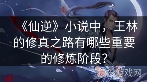 《仙逆》小说中，王林的修真之路有哪些重要的修炼阶段？