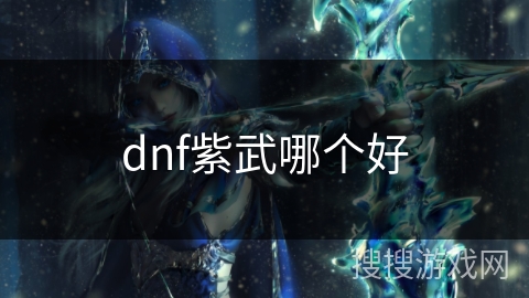 dnf紫武哪个好