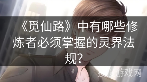 《觅仙路》中有哪些修炼者必须掌握的灵界法规？