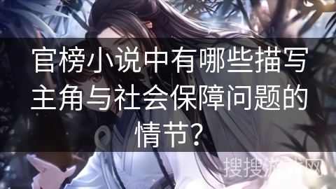 官榜小说中有哪些描写主角与社会保障问题的情节？