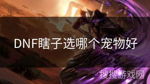 DNF瞎子选哪个宠物好