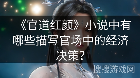 《官道红颜》小说中有哪些描写官场中的经济决策？