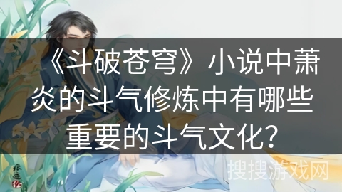 《斗破苍穹》小说中萧炎的斗气修炼中有哪些重要的斗气文化？