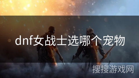 dnf女战士选哪个宠物