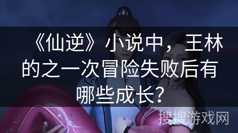 《仙逆》小说中，王林的之一次冒险失败后有哪些成长？