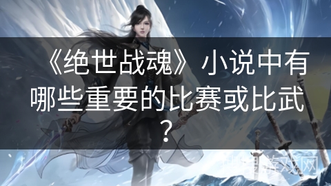 《绝世战魂》小说中有哪些重要的比赛或比武？