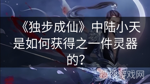 《独步成仙》中陆小天是如何获得之一件灵器的？