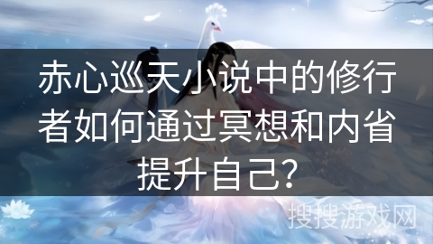 赤心巡天小说中的修行者如何通过冥想和内省提升自己？