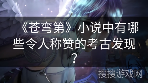 《苍弯第》小说中有哪些令人称赞的考古发现？