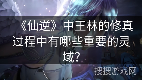 《仙逆》中王林的修真过程中有哪些重要的灵域？