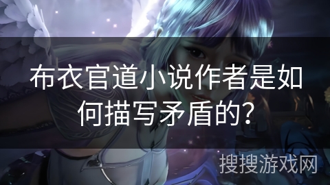 布衣官道小说作者是如何描写矛盾的？