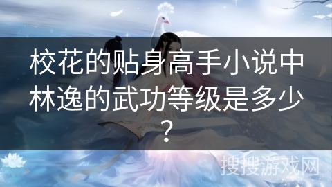 校花的贴身高手小说中林逸的武功等级是多少？