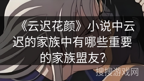 《云迟花颜》小说中云迟的家族中有哪些重要的家族盟友？