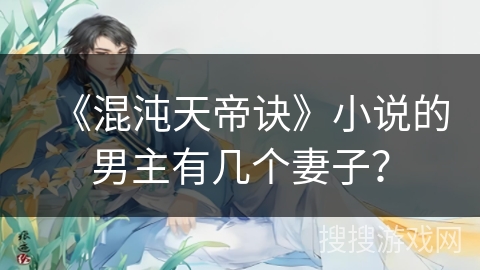《混沌天帝诀》小说的男主有几个妻子？