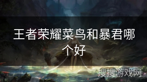 王者荣耀菜鸟和暴君哪个好