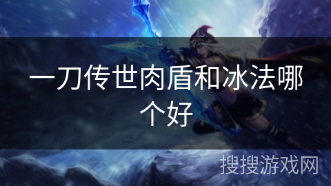 一刀传世肉盾和冰法哪个好