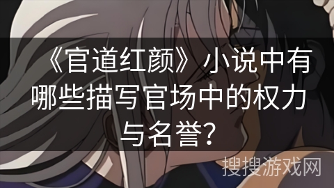 《官道红颜》小说中有哪些描写官场中的权力与名誉？
