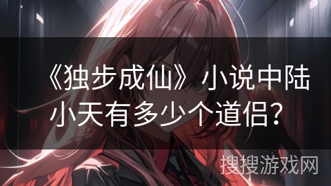 《独步成仙》小说中陆小天有多少个道侣？