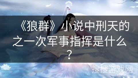 《狼群》小说中刑天的之一次军事指挥是什么？