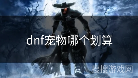 dnf宠物哪个划算 dnf宠物哪个划算