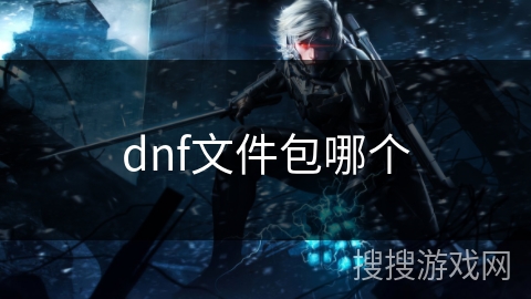 dnf文件包哪个