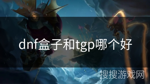 dnf盒子和tgp哪个好