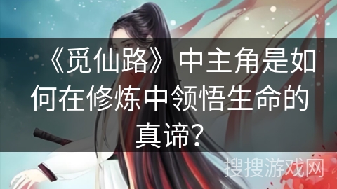 《觅仙路》中主角是如何在修炼中领悟生命的真谛？