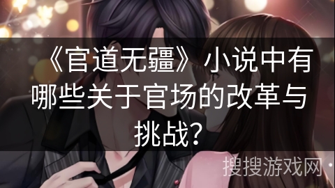 《官道无疆》小说中有哪些关于官场的改革与挑战？