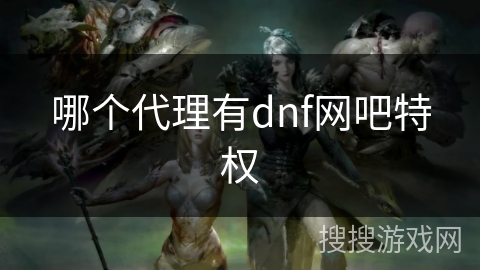 哪个代理有dnf网吧特权