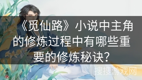 《觅仙路》小说中主角的修炼过程中有哪些重要的修炼秘诀？