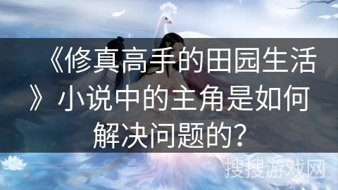 《修真高手的田园生活》小说中的主角是如何解决问题的？