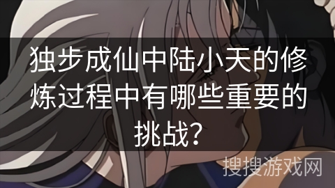 独步成仙中陆小天的修炼过程中有哪些重要的挑战？