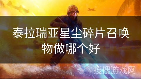 泰拉瑞亚星尘碎片召唤物做哪个好