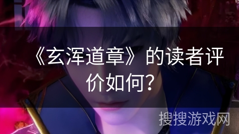 《玄浑道章》的读者评价如何？