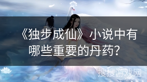 《独步成仙》小说中有哪些重要的丹药？