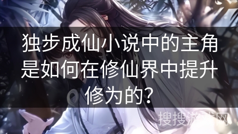 独步成仙小说中的主角是如何在修仙界中提升修为的？