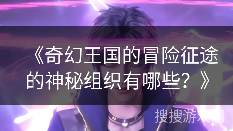 《奇幻王国的冒险征途的神秘组织有哪些？》