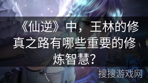 《仙逆》中，王林的修真之路有哪些重要的修炼智慧？