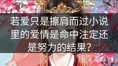 若爱只是擦肩而过小说里的爱情是命中注定还是努力的结果？