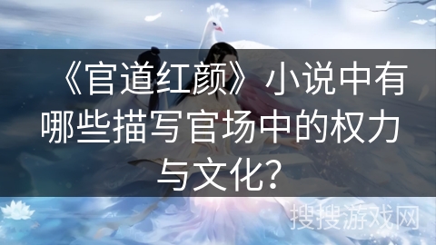《官道红颜》小说中有哪些描写官场中的权力与文化？