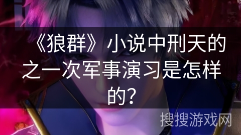 《狼群》小说中刑天的之一次军事演习是怎样的？