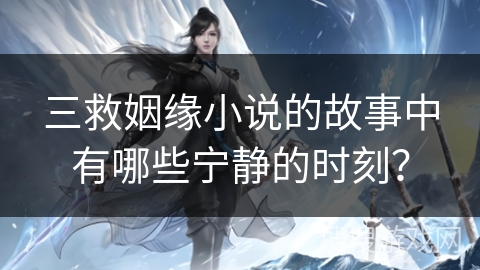 三救姻缘小说的故事中有哪些宁静的时刻？