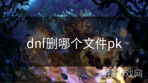 dnf删哪个文件pk